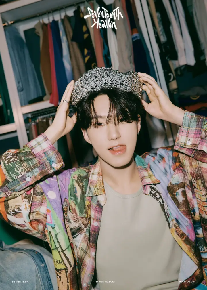 SEVENTEENメンバーの説明書 第2弾:ホシ SEVENTEENメンバーの説明書 第2弾:ホシ