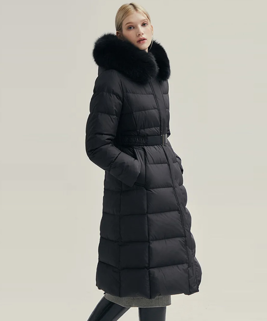 지고트, 아이잗컬렉션 외