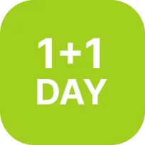 1+1데이