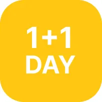 1+1데이