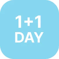 1+1데이