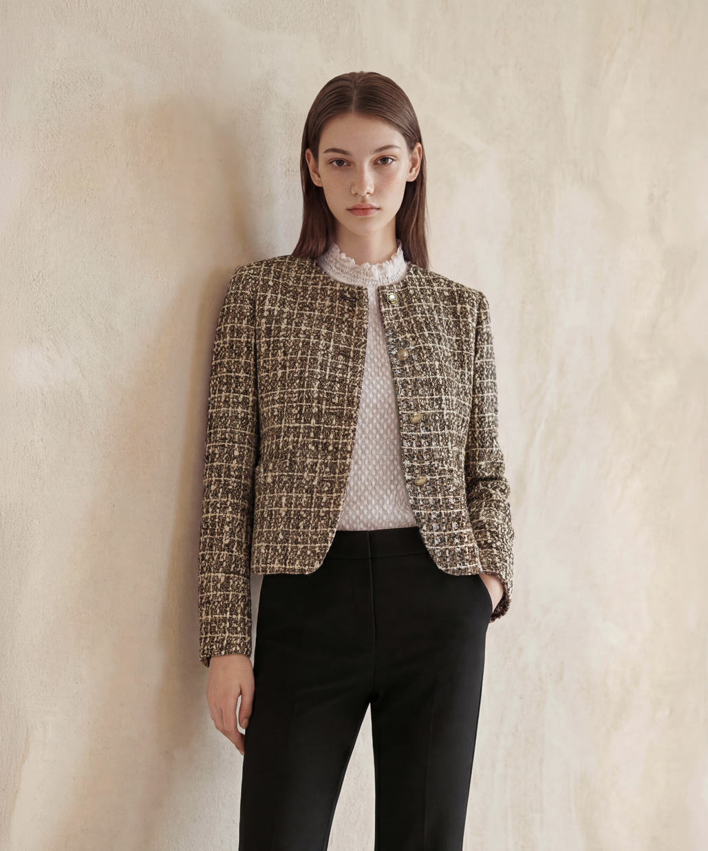 조이너스, 꼼빠니아