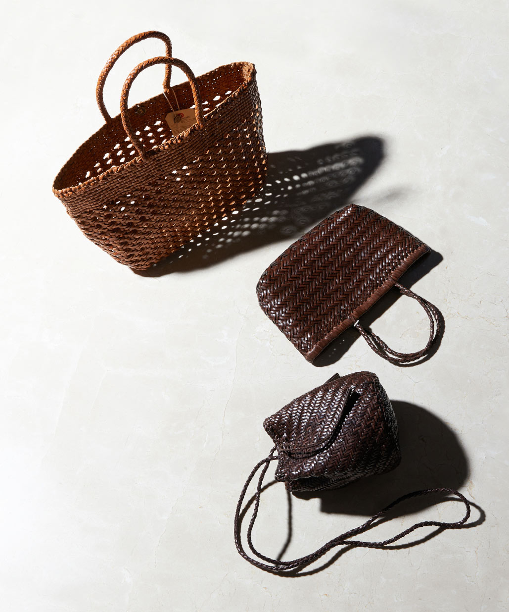 드래곤디퓨전, 라이프워크 외