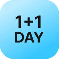 1+1데이