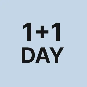 1+1데이