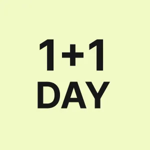 1+1데이