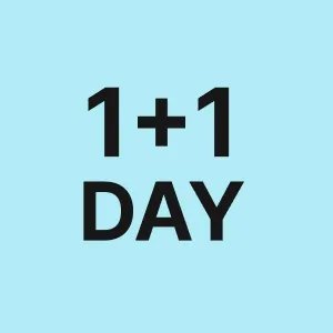 1+1데이