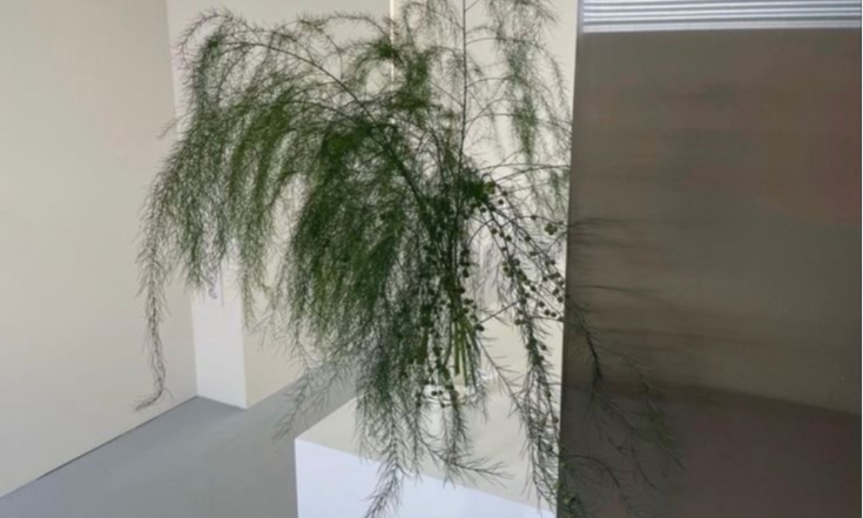 S/S 시즌에도
엔터문과 함께 