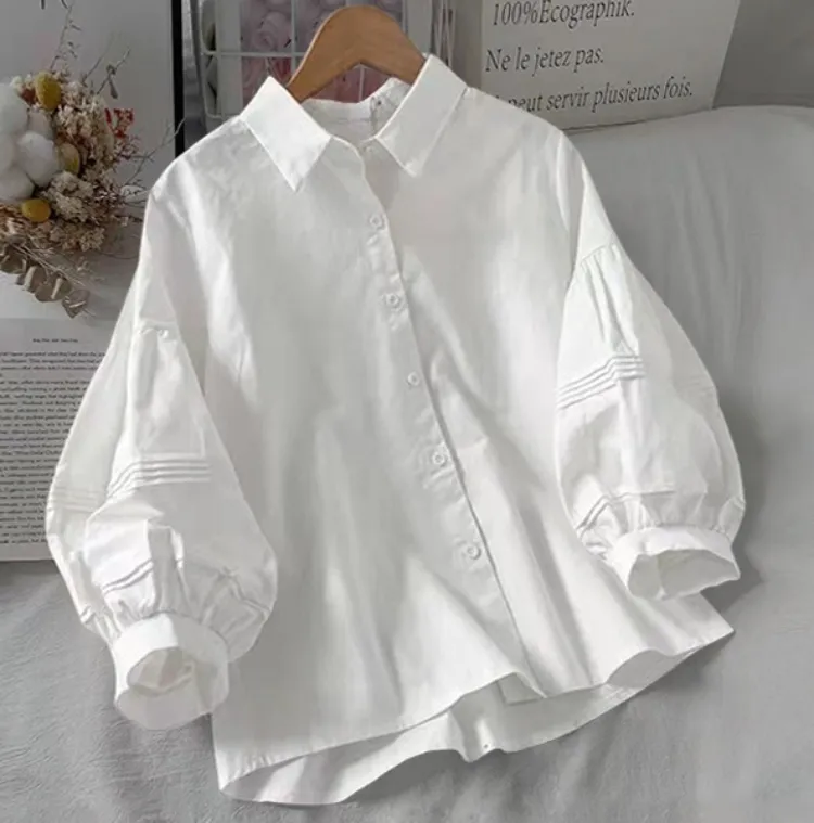 [BEST]카라 블라우스
데일리한 무드의 블라우스