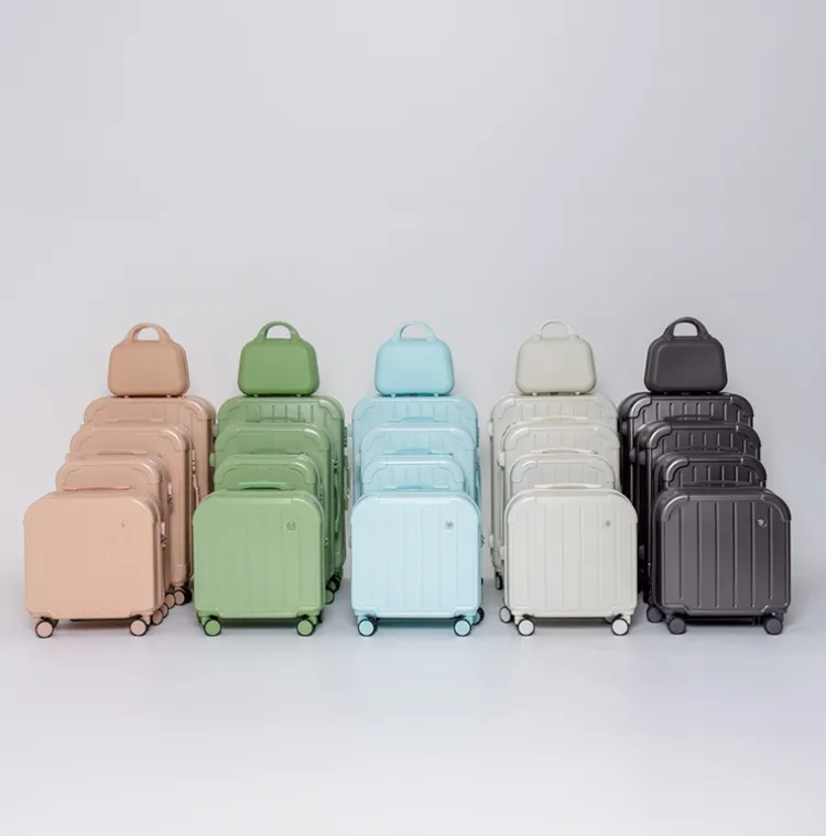 비기캐리어
알로